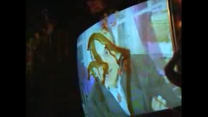 Die Arzte - Quark