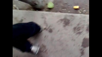adem pastur ko4ek oyna