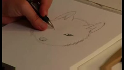 Уроци по рисуване - Как да рисуваме вълк