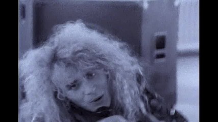 White lion - Wait