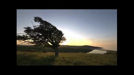 Eto zatova obi4am bulgaria