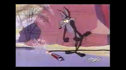 Road Runner & Wile E Coyote