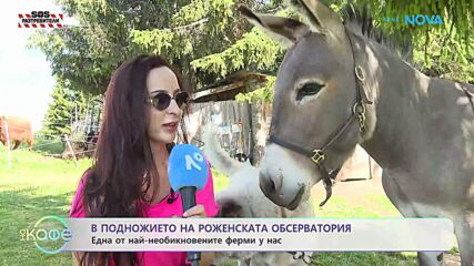Една от най-необикновените ферми у нас в подножието на Роженската обсерватория | На кафе | 30 септ. 2026