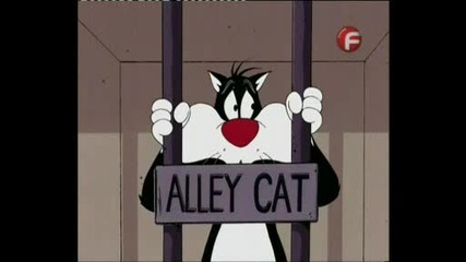 Sylvester And Tweety Mysteries Bg Audio 48 - This Is The Kitty