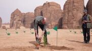 Принц Уилям засади дръвче в пустинята в последния ден от визитата си в Рияд (ВИДЕО)