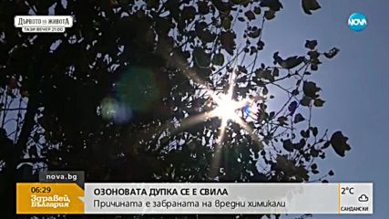 Озоновата дупка се е свила