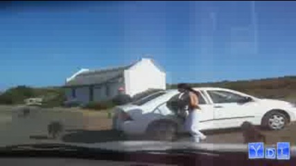 Summer Fail Compilation 2011 -- Ydl