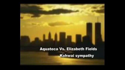 Aquateca Vs. Elizabeth Fields - Kohwai Sympathy