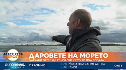 Датчани отглеждат морски култури под водата 