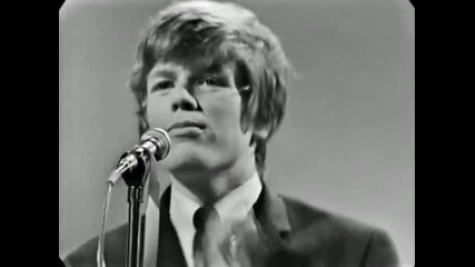 Herman s Hermits - Can t You Hear My Heartbeat (1965)