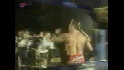 Shawn Michaels 3rd [rare] + [full]