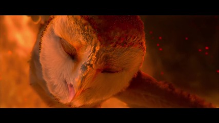 Slow Motion Fire Scene 