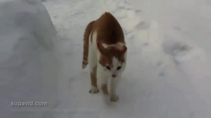 Чудовището преследва човека :d