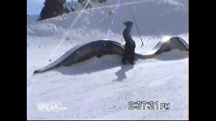Bad Ski Rail Fail 