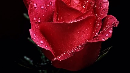 Ernesto Cortazar - Relaxing Piano Music - Official Site Forever Maria 