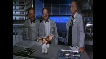 Tanca Na Gizmo
