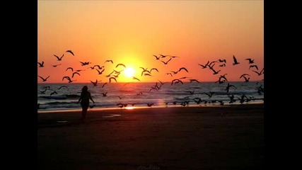 Eltonnick feat. Naakmusiq - Reach The Light