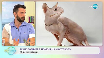 Технологиите в помощ на изкуството - животни хибриди - На кафе (05.10.2021)
