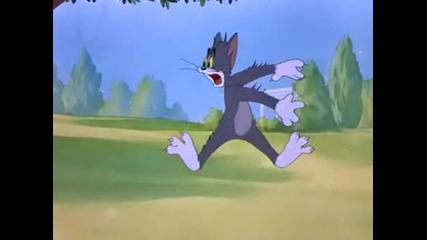 [hq] Tom and Jerry [hq]
