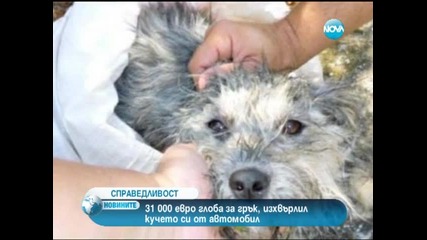31 000 евро глоба за грък, изхвърлил кучето си от автомобил
