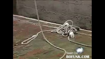 Window Washer Falls 8 Stories 