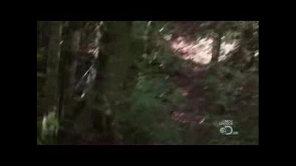 Ultimate Survival / Оцеляване на предела с Bear Grylls, Сезон 5, Епизод 9, Dominican Republic [3]