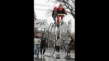 Exotic Bikes 