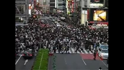 Пешеходна пътека в Япония