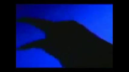 Tna Raven - My Life Titantron