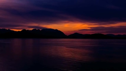 Exaltation- Lamentation of Swans- A journey towards silence