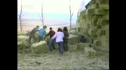 Един Кофти Пикник!
