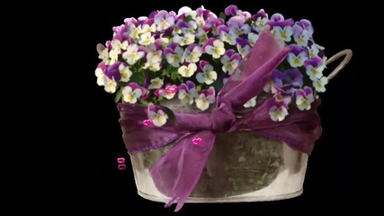 Честит Лазаровден! Много целувки и пролетни цветя за всеки именник!... (music Jonn Sokoloff)...
