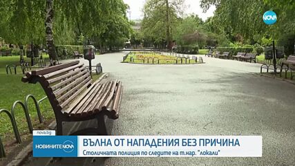 28 засечени "локали" от началото на годината в София