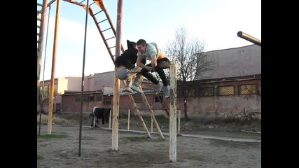 Street Fitness Pazardjik