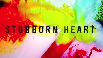 Stubborn Heart - Need Someone