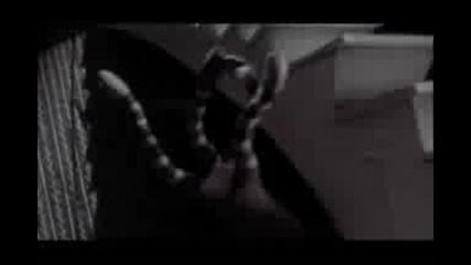 Marilyn Manson This Is Halloween 