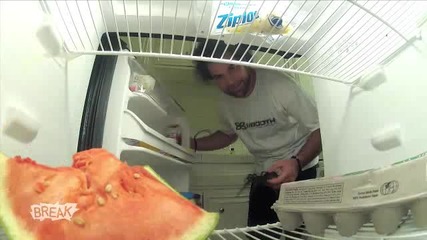 Скрита камера - Паяк в хладилника