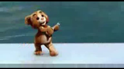 funny bear