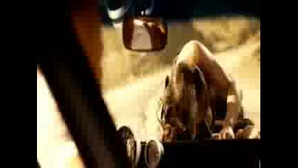 Shke It - Fast and The Furoius
