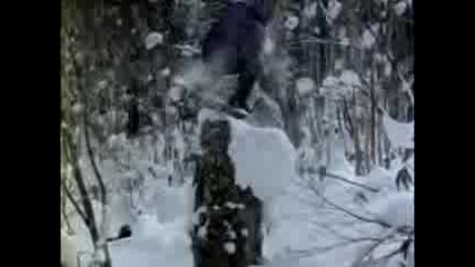 Snowboading