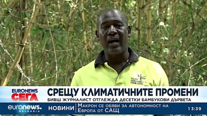 Бивш журналист гледа бамбук срещу климатичните промени