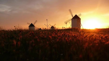 Stromae - Silence
