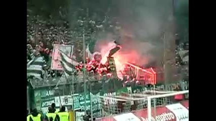 Red Bull Salzburg - Sk Rapid Wien 29.11.2009 