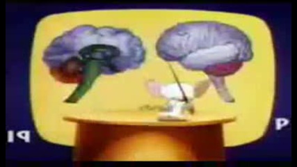 Pinky and The Brain