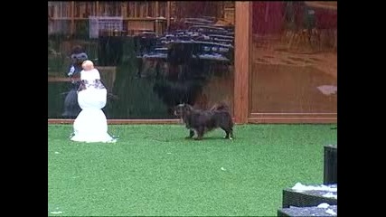 Хининус не харесва снежния човек - Big Brother All Stars 2013