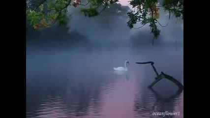 Ernesto Cortazar - River of dreams