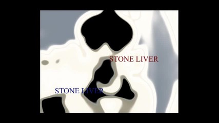 Stone Liver - I Spy