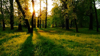 [ hq ] Digital Nature - Landmarks (activa Remix)