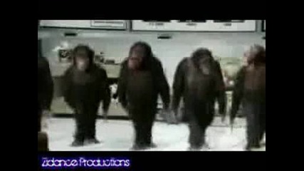 Още От Репертоара На Танцуващите Маймуни ;d