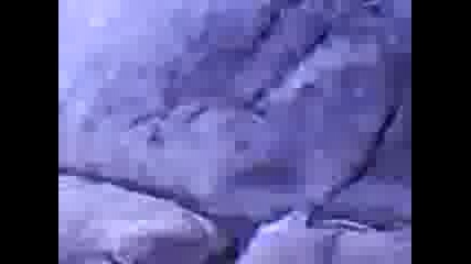 природа
